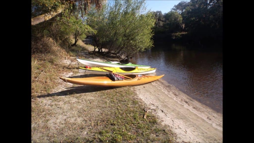 Kayaking South Florida; Venice Myakka River Park - YouTube thebookongonefishing