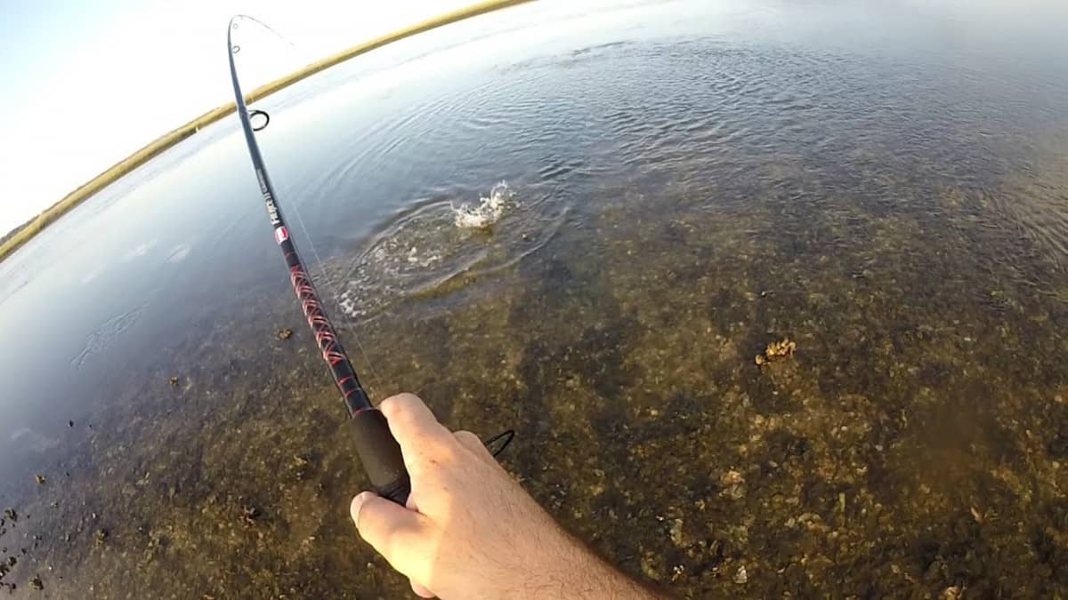 Great Kayak Fishing Near Jacksonville, Florida KayaksBoats