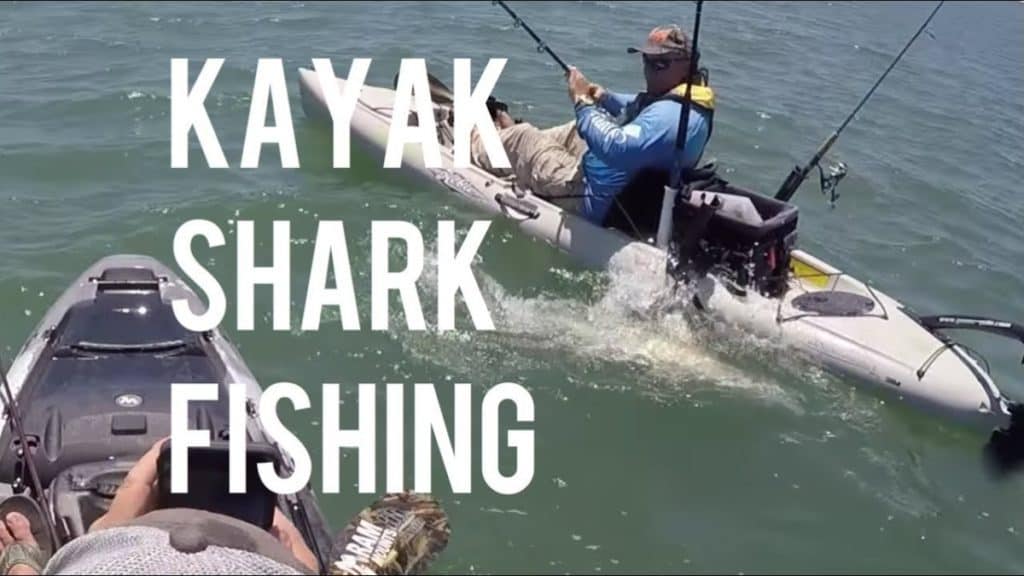 Kayak Fishing for Sharks Jacksonville Florida kayaksboats