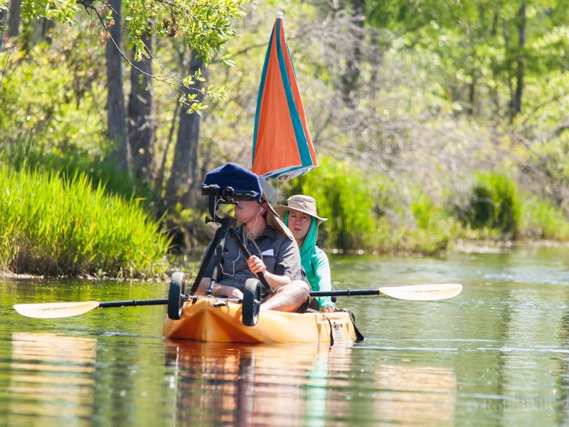 Best Kayaking Spots Near Kingsland, Georgia kayakboats