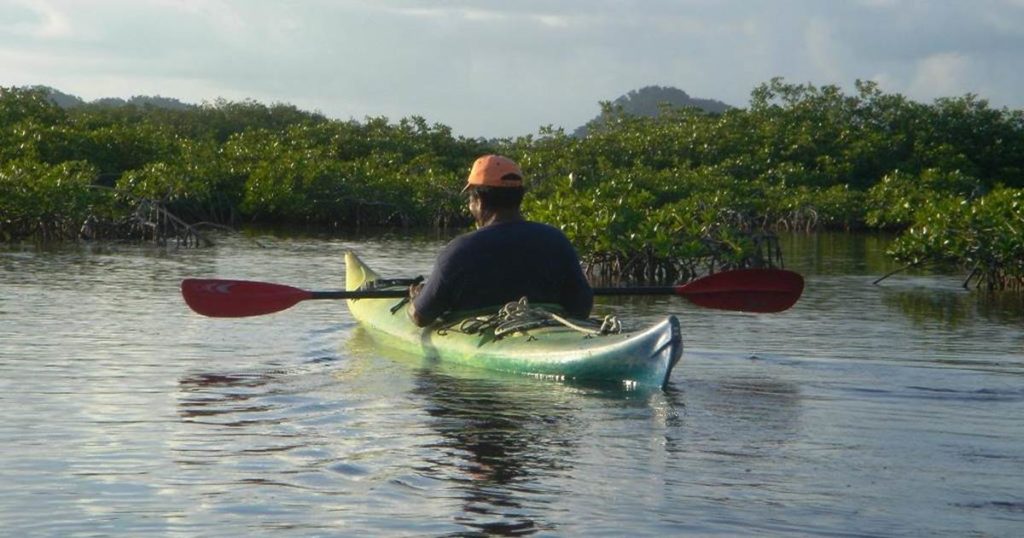 Best Kayaking Spots Near Punta Gorda, Floirda kayaksboats