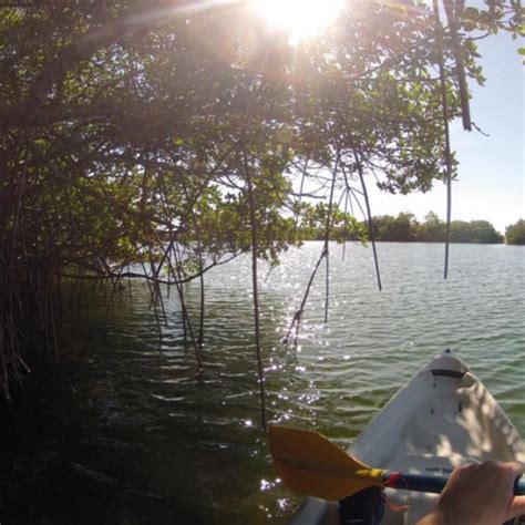 Best Kayaking Spots Near Saint Petersburg, Florida kayaksboats