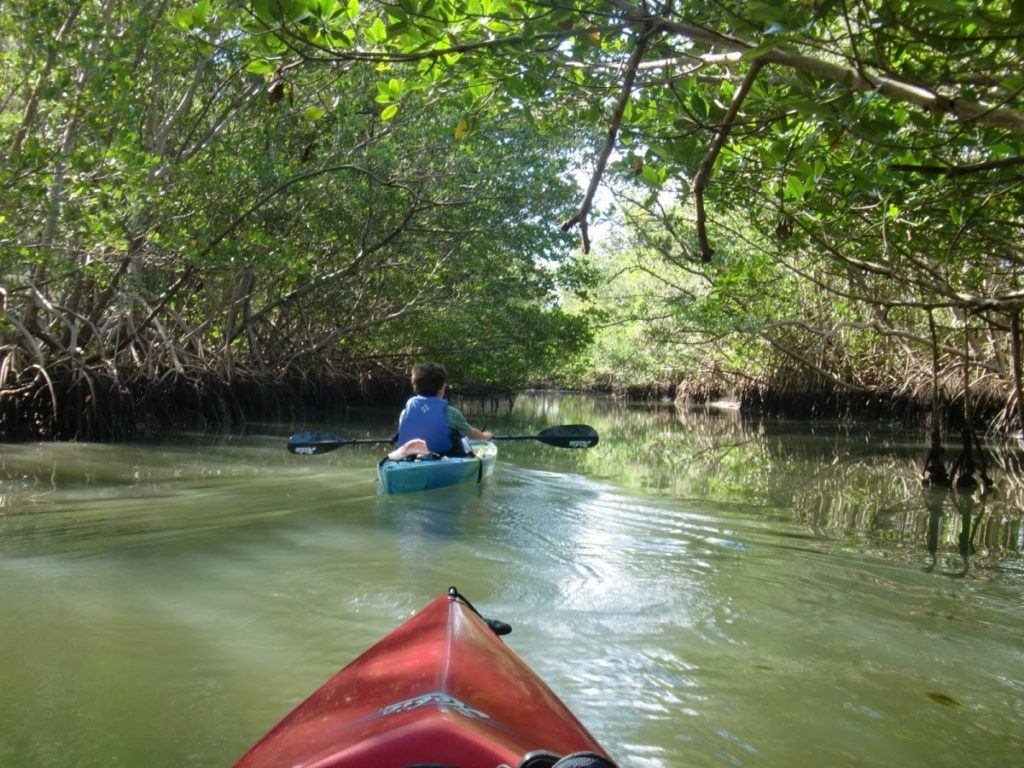 KAYAKING AT OLETA RIVER STATE PARK MIAMI FLORIDA kayaksboats
