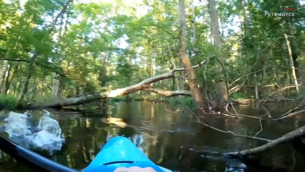 Alligator Charging Kayak NC Kayaksboats