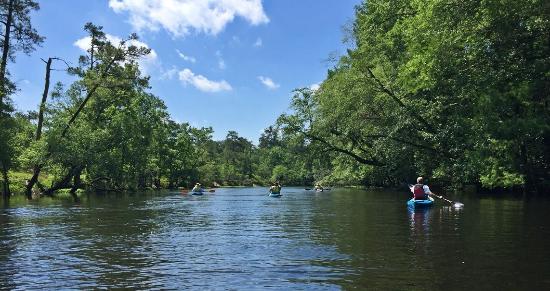 Best Kayaking On The Blackriver, North Carolina kayaksboats