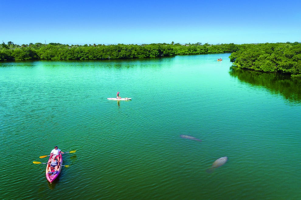 Best Kayaking Spots Near Fort Desoto Park, Florida kayaksboats