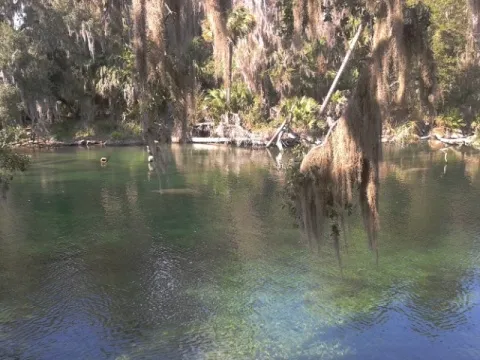 Sunday Morning Went Kayak Fishing on the Saint John River near Jacksonville, Florida kayaksboats