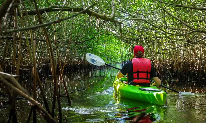 Went Kayaking On The Arlington River Near Jacksonville, Florida – Short Story kayaksboats