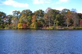 Went-Kayaking-On-Woodbury-Creek-Near-Red-Bank-New-Jersey-–-Short-Story-kayaksboats