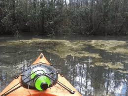 Went Kayaking On Little Hellhole Bay Near Goose Creek, South Carolina – Short Story kayaksboats